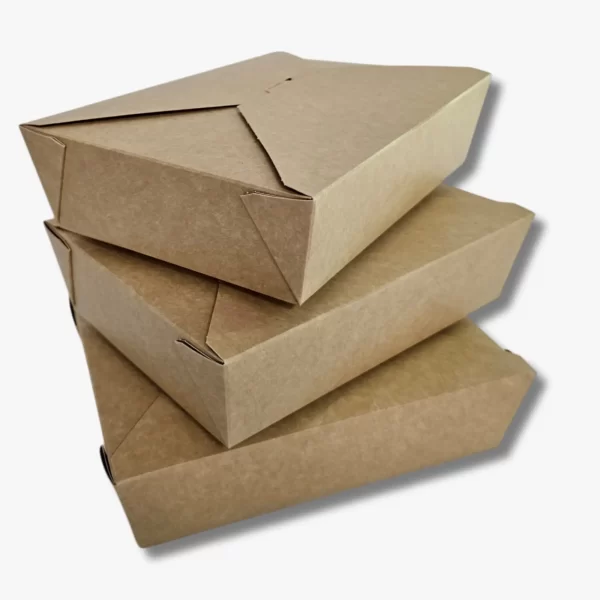 PS14001: 700 ml Karton Yemek Kutusu (Dikdörtgen)