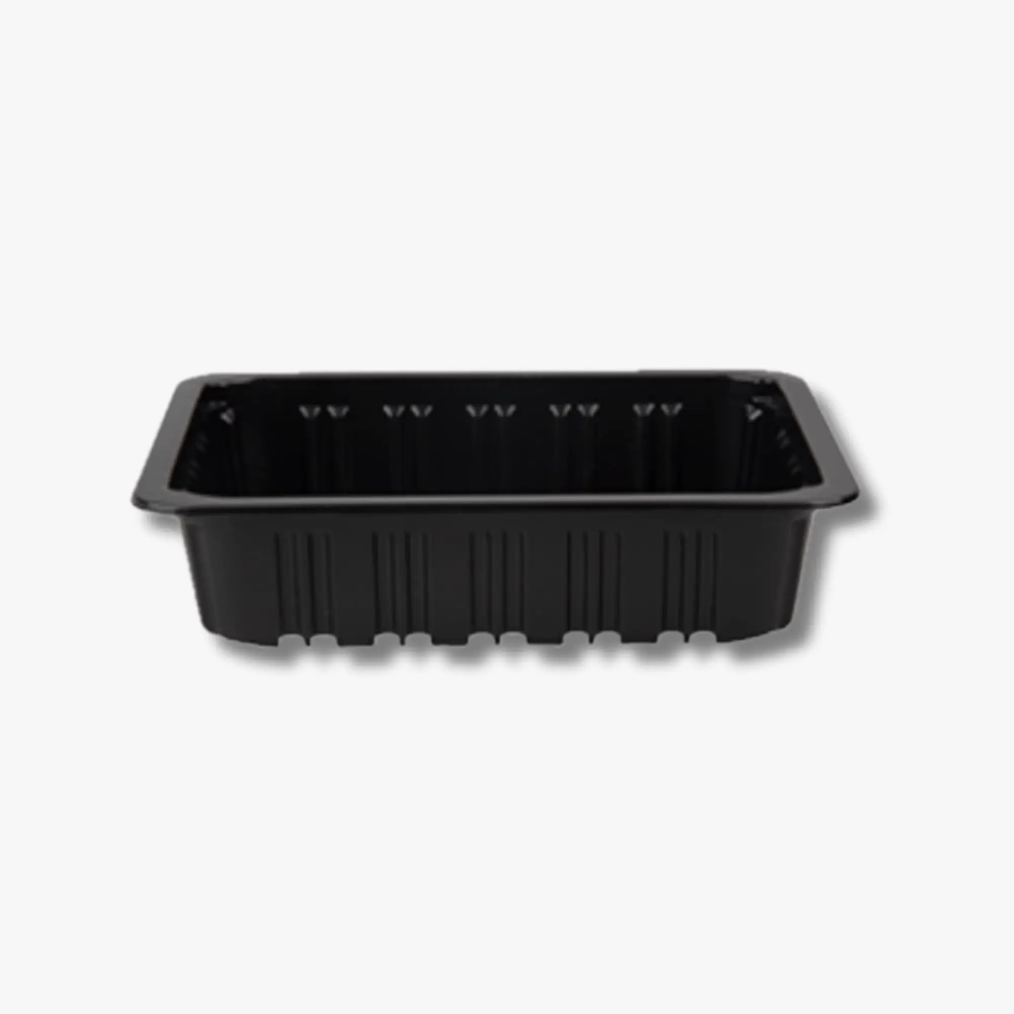 PS21014 Meat, Chicken and Fish Container