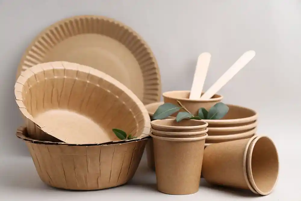 Bambu tabaklar, kaseler, karton kahve bardağı ve kaşıklar içeren tek kullanımlık sofra takımı